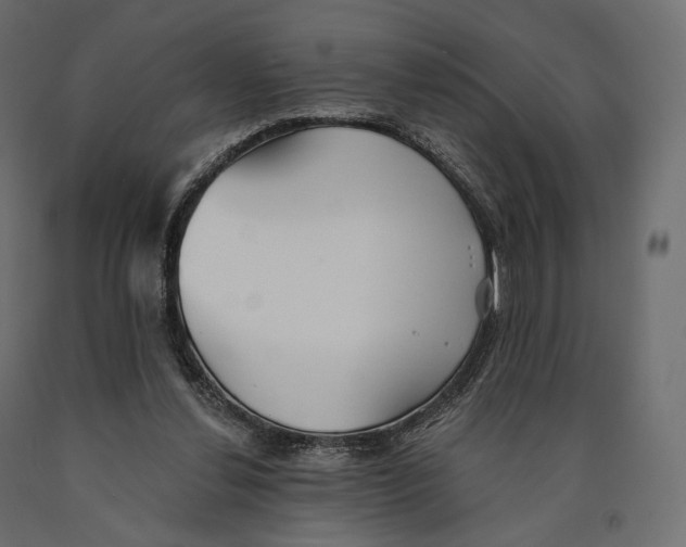 X0000090460252200708031248