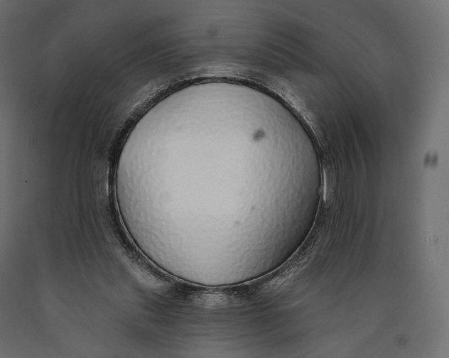 X0000090460253200708031248