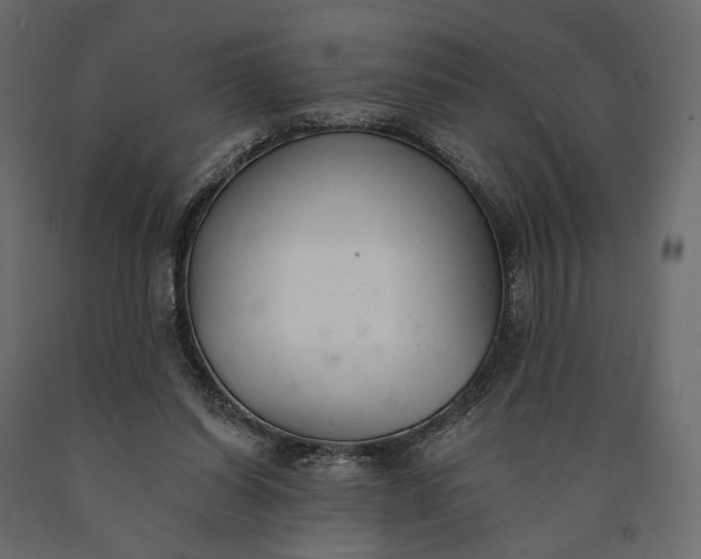 X0000090460254200708031248