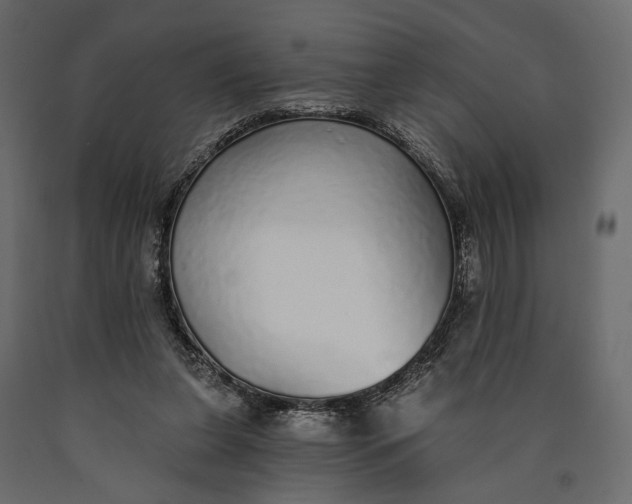 X0000090460255200708031248