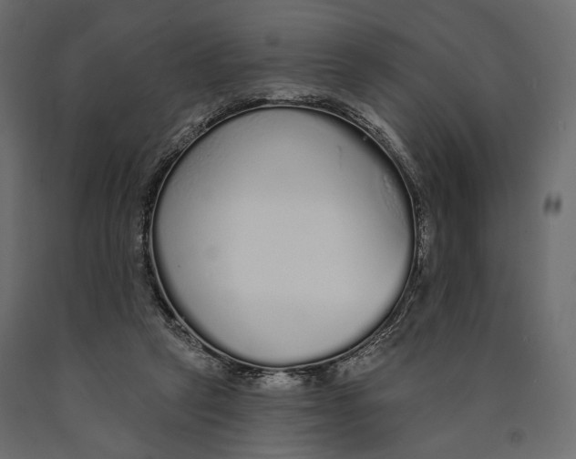 X0000090460257200708031248