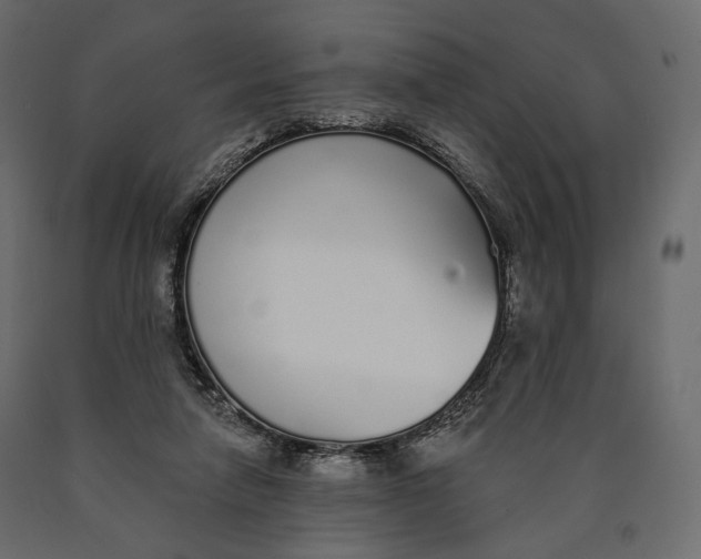 X0000090460258200708031248