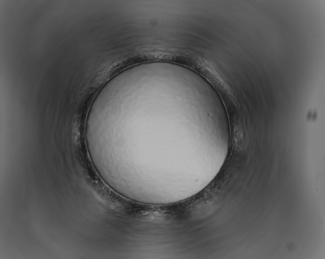X0000090460259200708031248