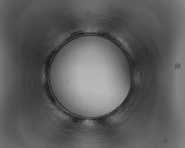 X0000090460261200708031248