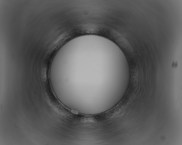X0000090460262200708031248
