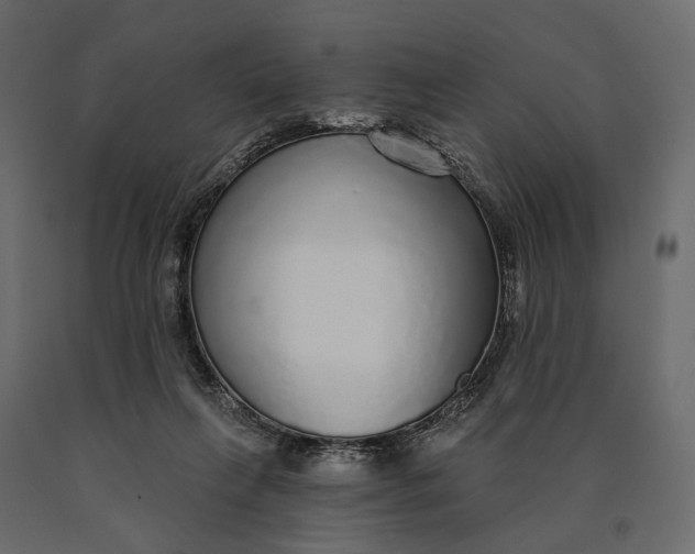 X0000090460263200708031248