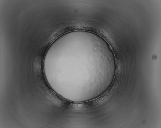 X0000090460265200708031248