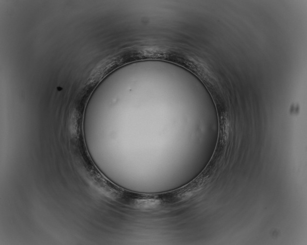 X0000090460266200708031248