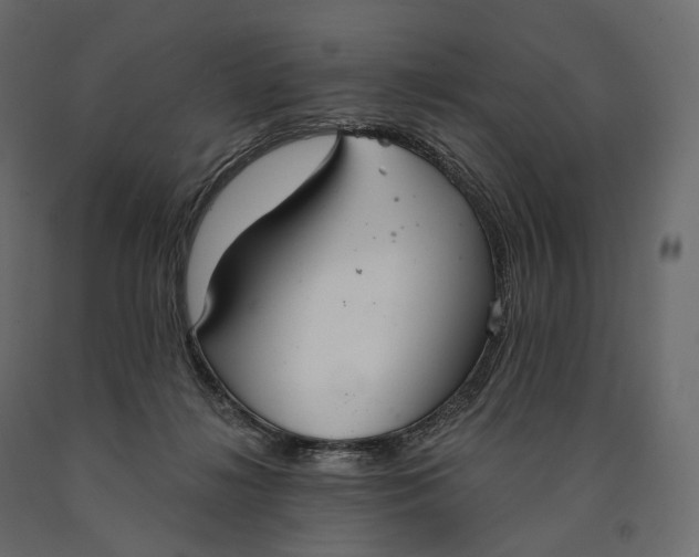 X0000090460268200708031248