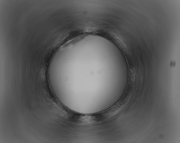 X0000090460269200708031248