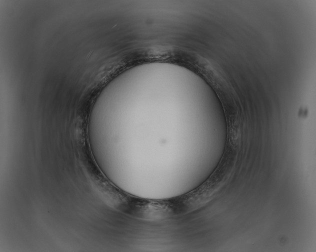 X0000090460270200708031248