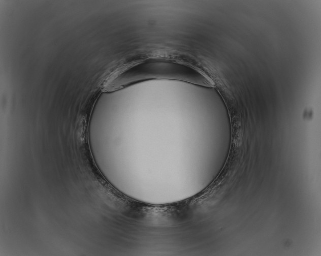 X0000090460273200708031248