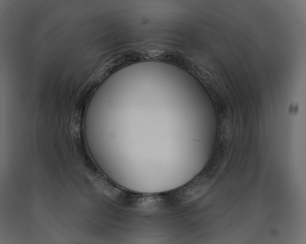X0000090460274200708031248