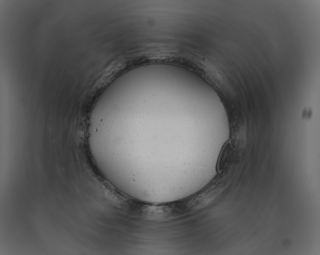 X0000090460277200708031248