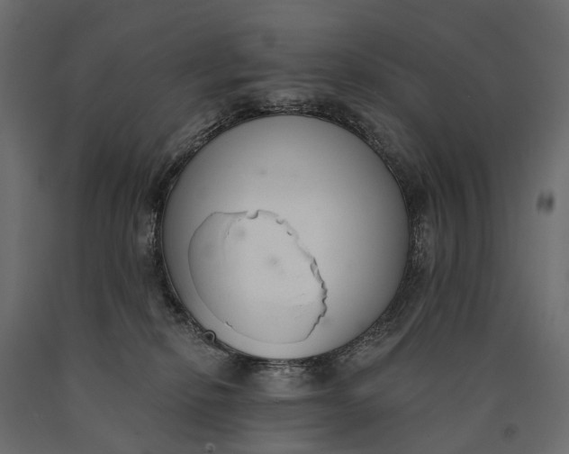 X0000090460278200708031248