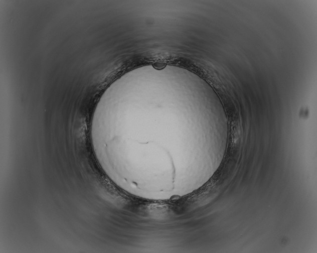 X0000090460279200708031248