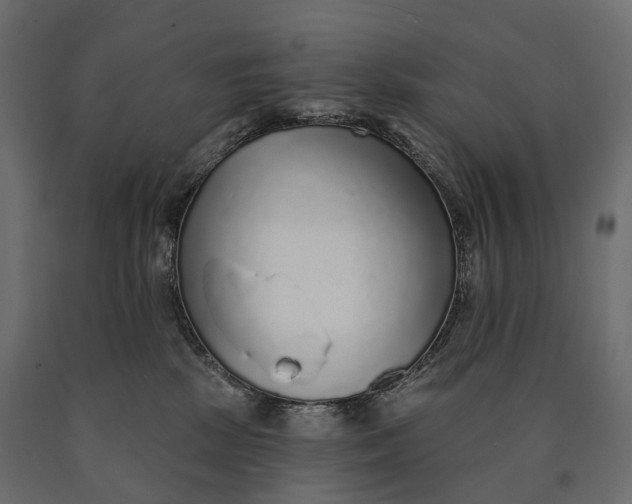 X0000090460281200708031248
