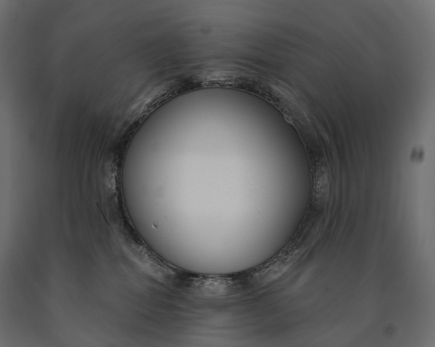 X0000090460282200708031248
