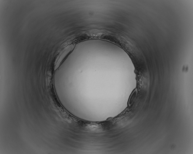 X0000090460283200708031248
