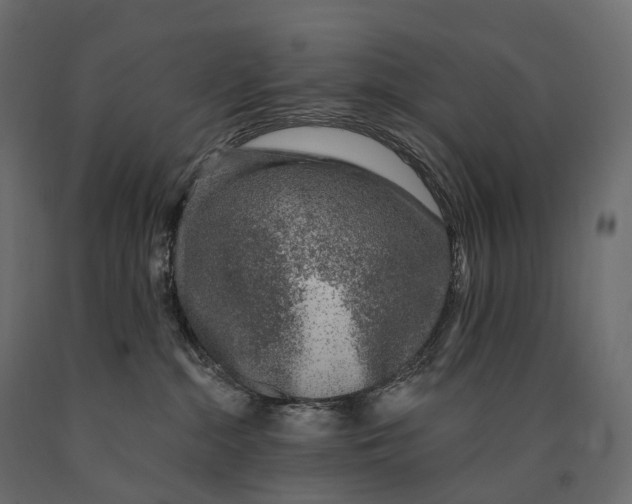 X0000090460284200708031248