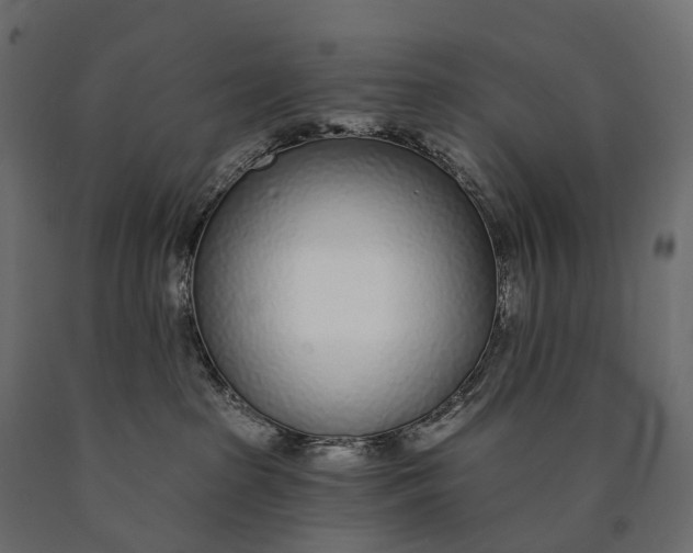 X0000090460285200708031248
