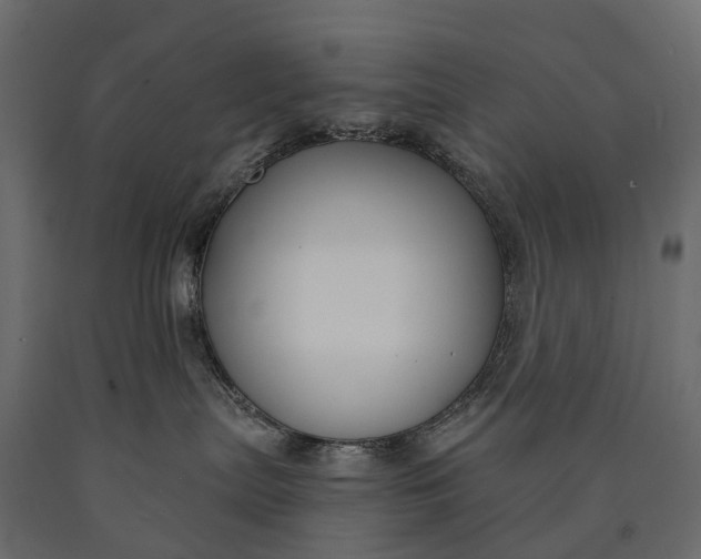 X0000090460287200708031248
