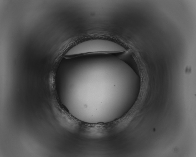 X0000090460288200708031248