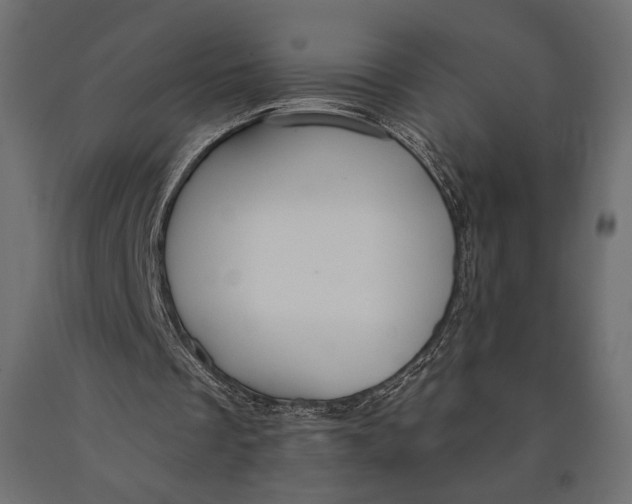 X0000090460289200708031248