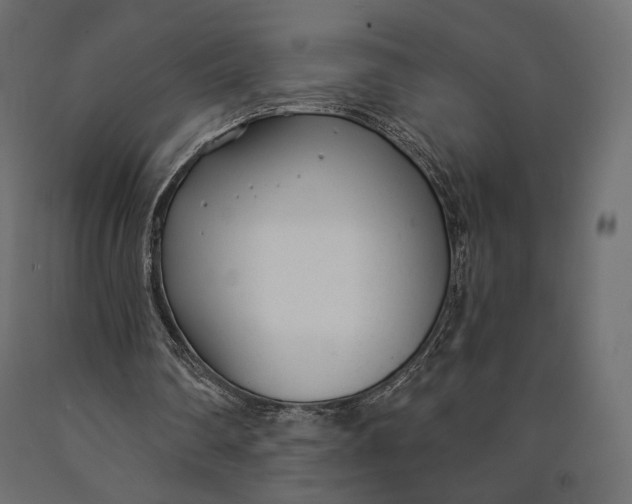 X0000090460290200708031248