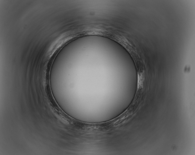 X0000090460291200708031248