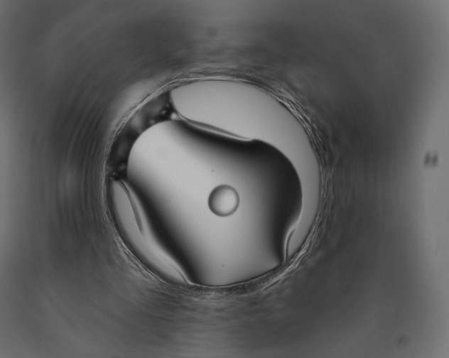 X0000090460293200708031247
