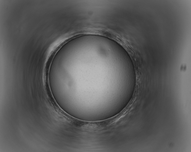 X0000090460294200708031247