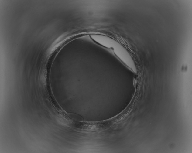 X0000090460295200708031247