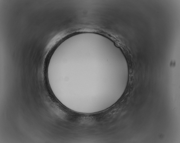 X0000090460296200708031247