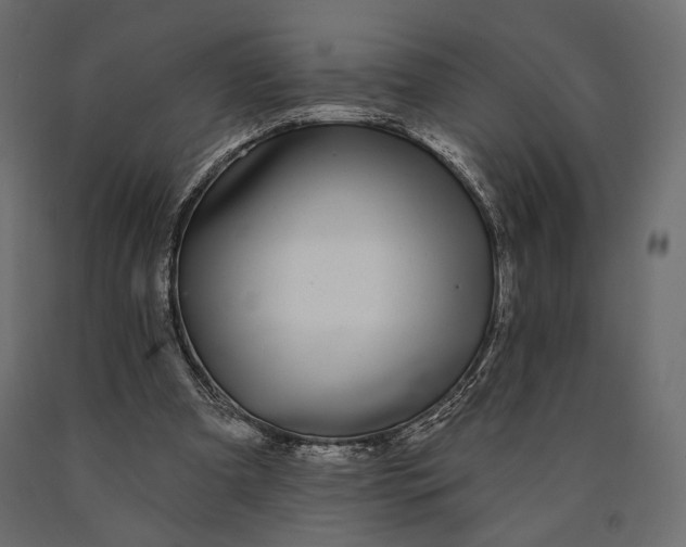 X0000090460297200708031247