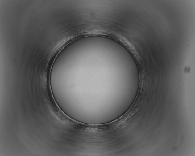 X0000090460298200708031247