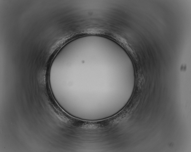X0000090460299200708031247