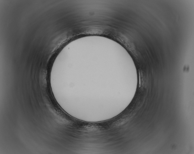 X0000090460300200708031247