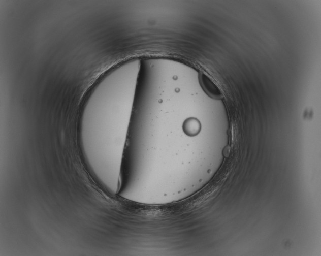 X0000090460301200708031247