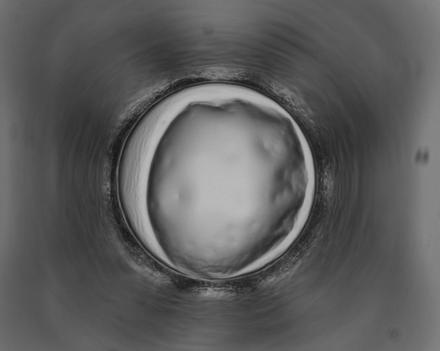 X0000090460303200708031247