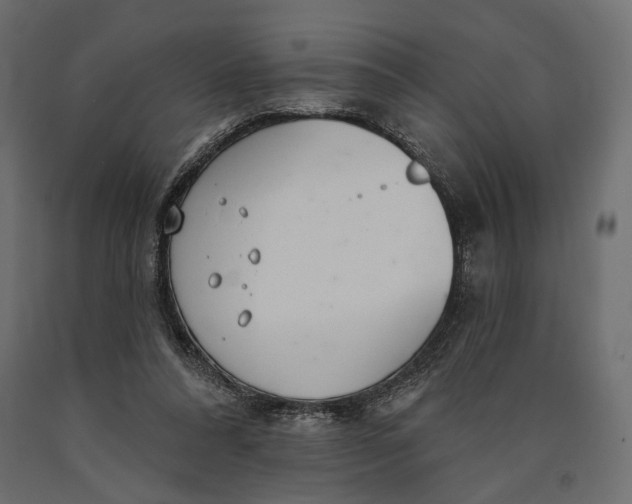 X0000090460304200708031247