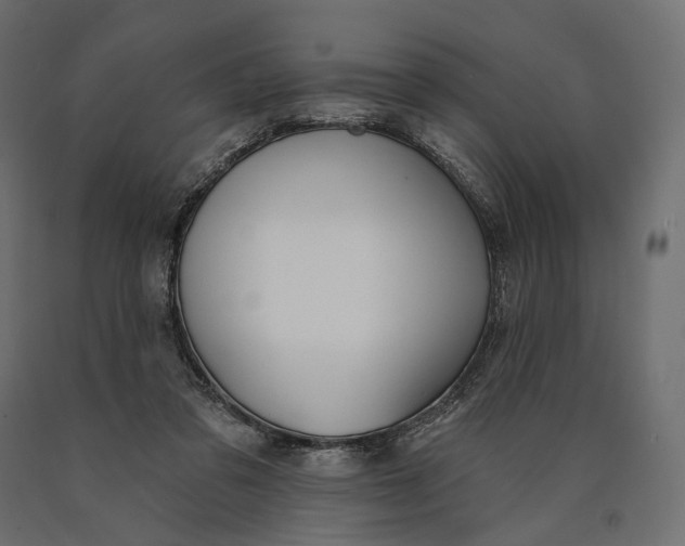X0000090460309200708031247
