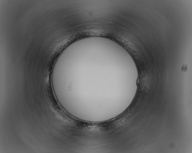 X0000090460310200708031247