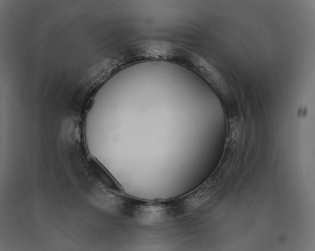 X0000090460313200708031247