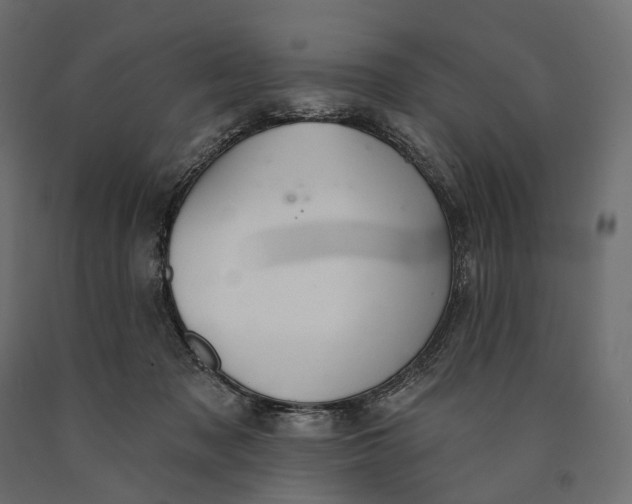 X0000090460317200708031247