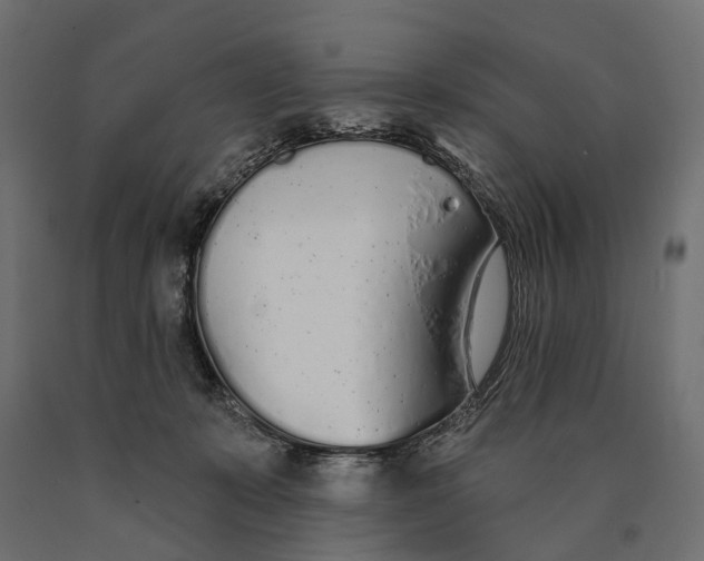 X0000090460319200708031247