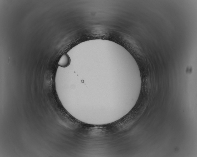 X0000090460320200708031247