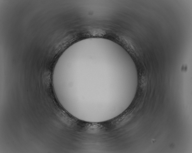 X0000090460321200708031247