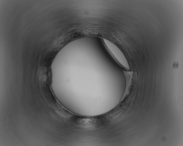 X0000090460323200708031247