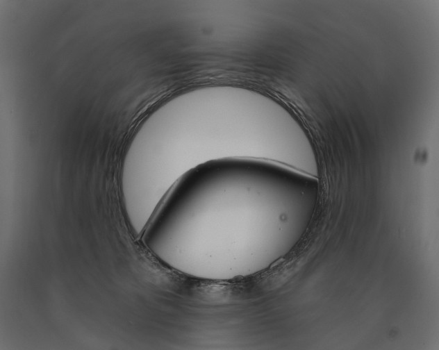 X0000090460325200708031247